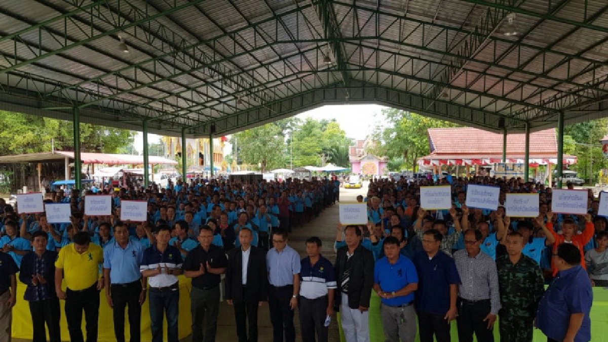 ชาวไร่ยาสูบสุโขทัยร้องกลุ่มสามมิตร ล่ารายชื่อส่งนายกฯ