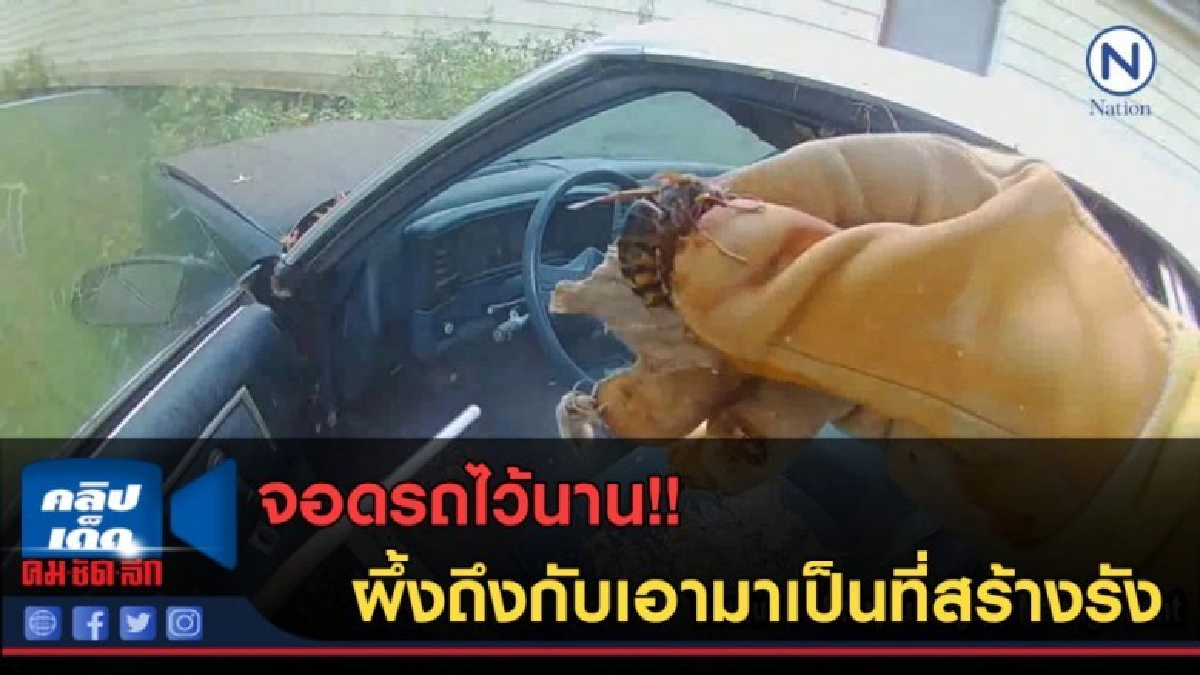 (คลิปข่าว) จอดรถไว้นาน!! ผึ้งถึงกับเอามาเป็นที่สร้างรัง