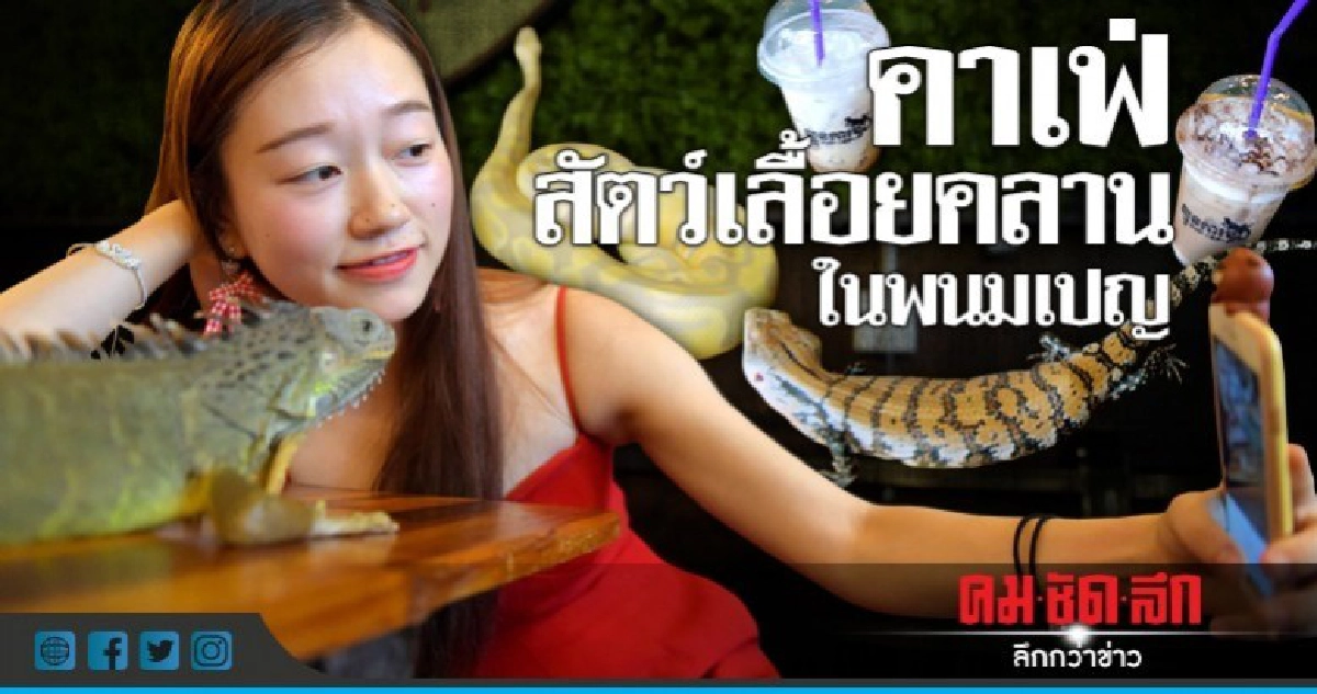   คาเฟสัตว์เลื้อยคลานในกัมพูชา 