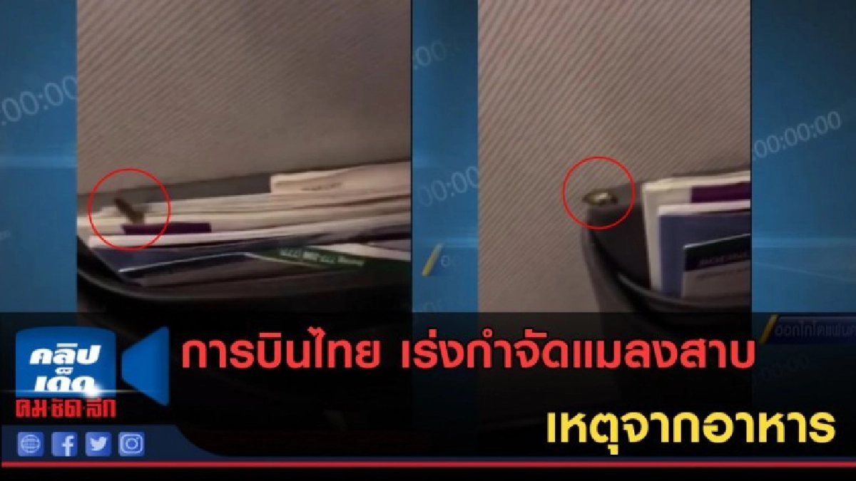 (คลิปข่าว) การบินไทย เร่งกำจัดแมลงสาบ เหตุจากอาหาร