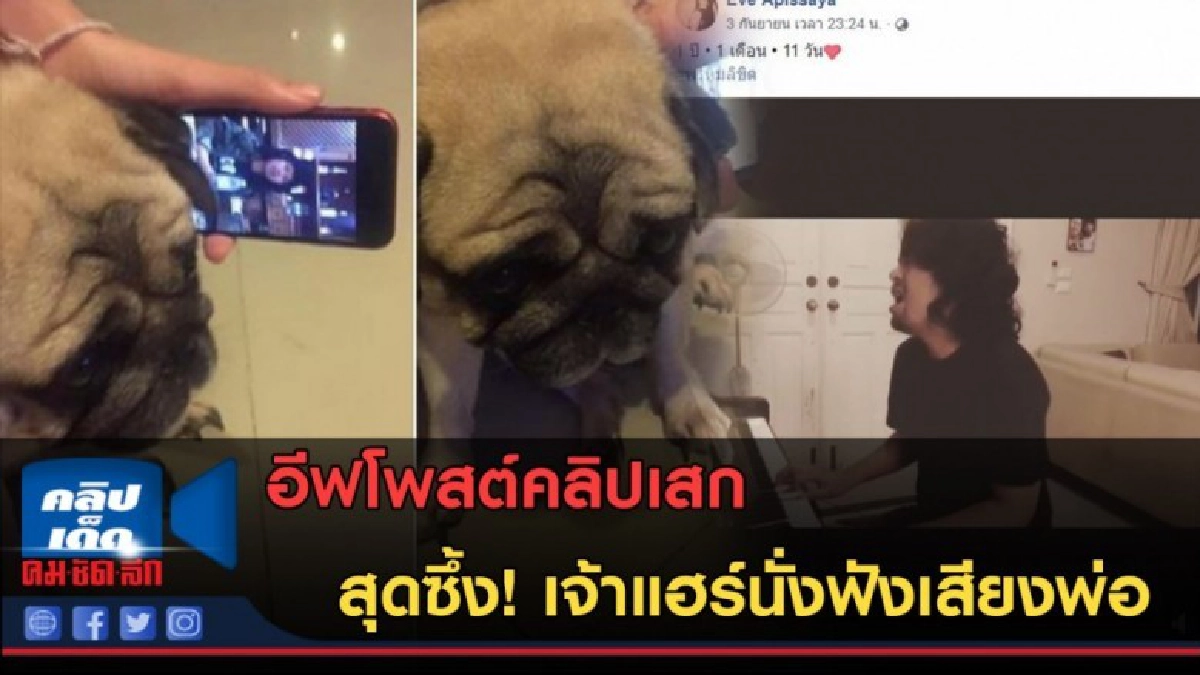 (คลิปข่าว) อีฟ โพสต์คลิปหวาน เจ้าแฮร์นั่งฟังเสียงเสก