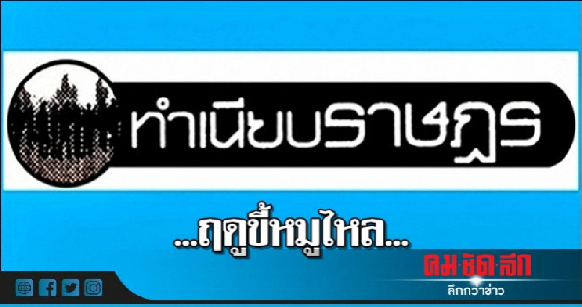 ...ฤดูขี้หมูไหล... ...ฤดูขี้หมูไหล...