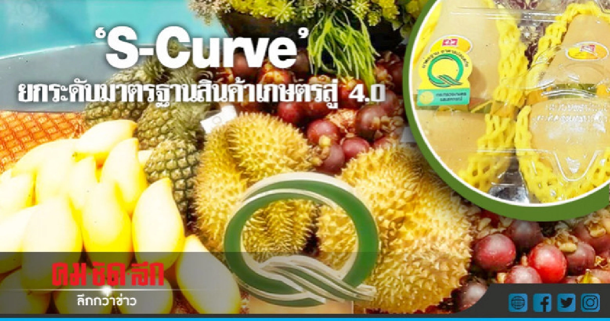 "S-Curve"ยกระดับโรงคัดผัก-ผลไม้สู่มาตรฐานGMP "S-Curve"ยกระดับโรงคัดผัก-ผลไม้สู่มาตรฐานGMP