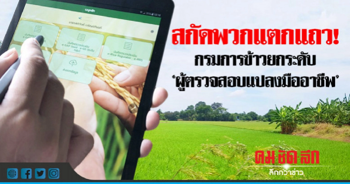 "ตรวจสอบแปลงมืออาชีพ"สกัดพวกแตกแถว !  