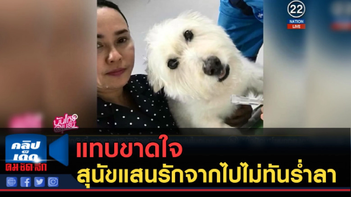 (คลิปข่าว) "ใหม่ เจริญปุระ" แทบขาดใจ สุนัขแสนรักจากไป (คลิปข่าว) "ใหม่ เจริญปุระ" แทบขาดใจ สุนัขแสนรักจากไป