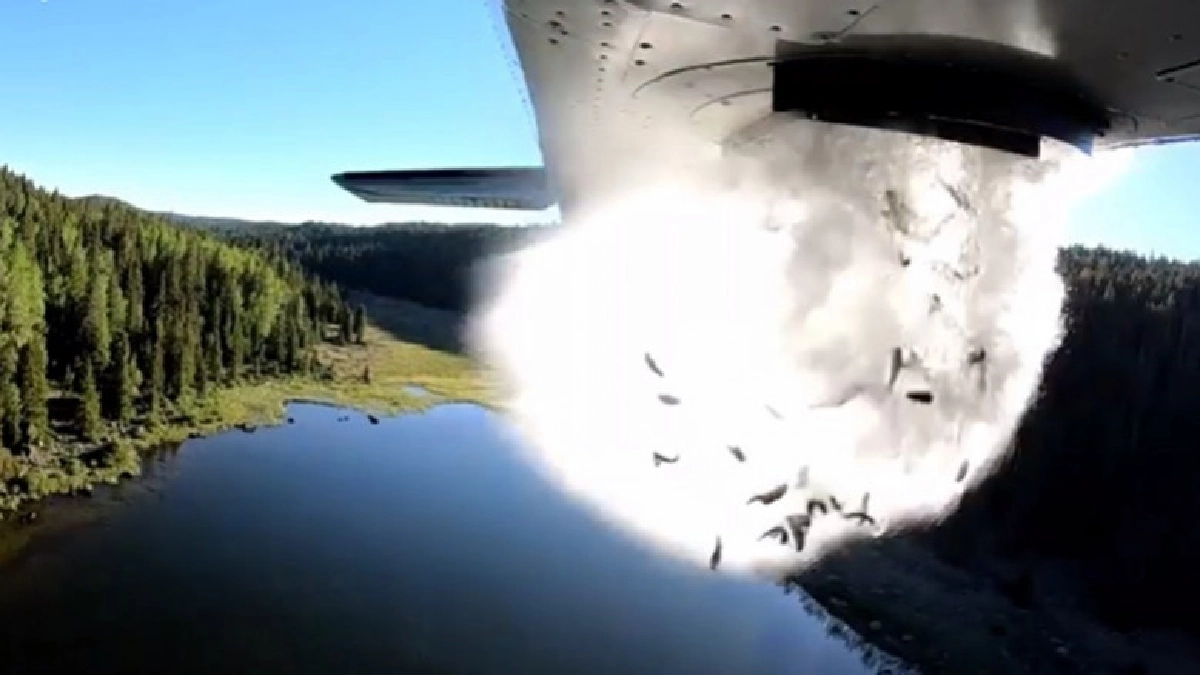 (คลิป)ชมการปล่อยปลาจากเครื่องบินเพิ่มจำนวนในทะเลสาบห่างไกล