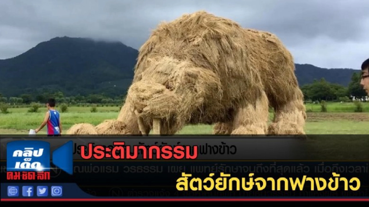 (คลิปข่าว) ประติมากรรมสัตว์ยักษ์จากฟางข้าว (คลิปข่าว) ประติมากรรมสัตว์ยักษ์จากฟางข้าว