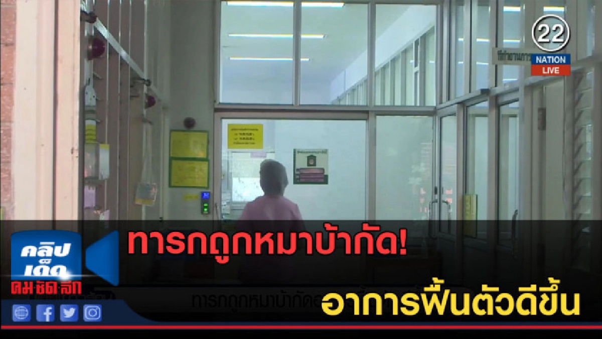 (คลิปข่าว) ทารกถูกหมาบ้ากัด อาการฟื้นตัวดีขึ้น