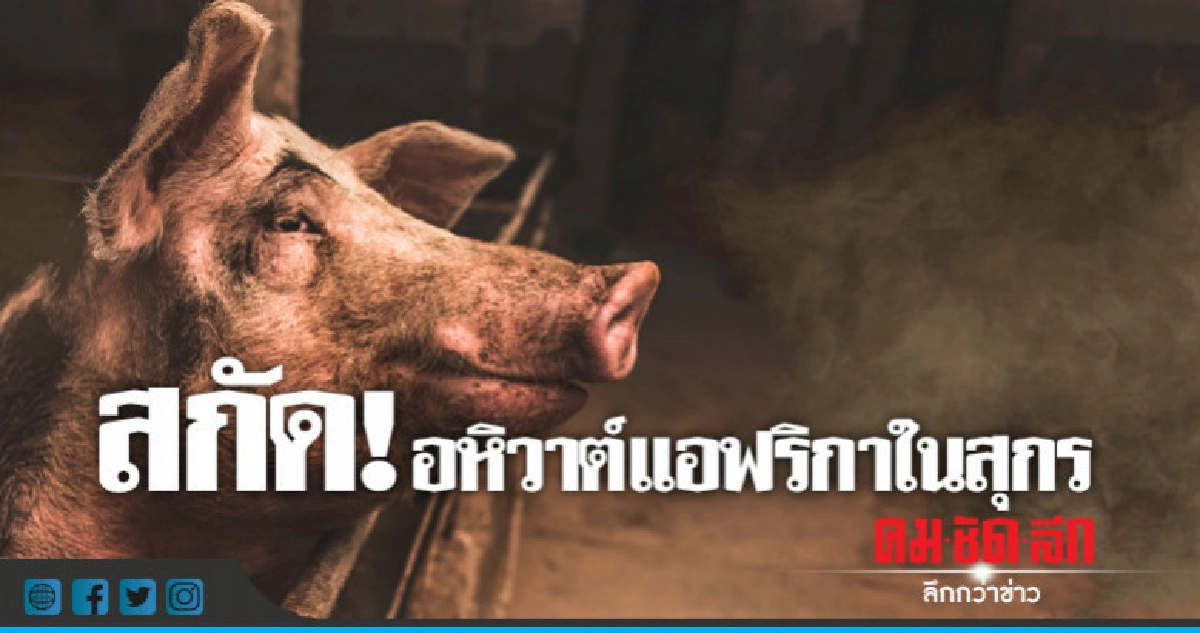 "ปศุสัตว์"ล้อมคอกอหิวาต์แอฟริกาหวั่นเข้าไทย