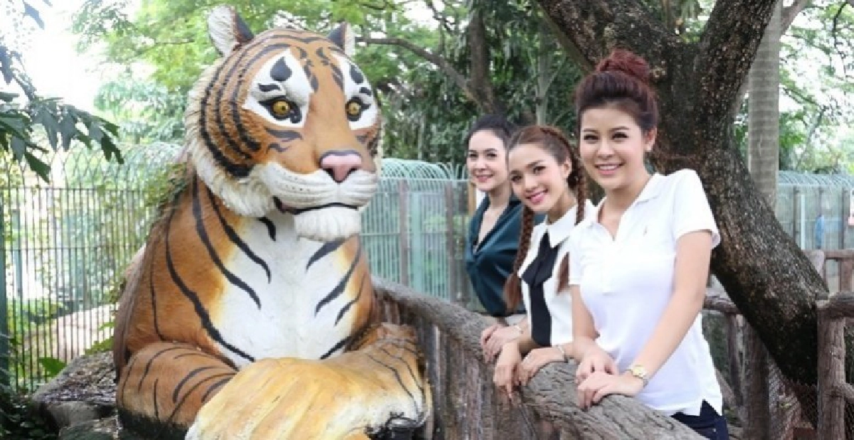'ลาดา-เพลง-ต้นข้าว' ระลึกความหลัง 'เขาดิน' 