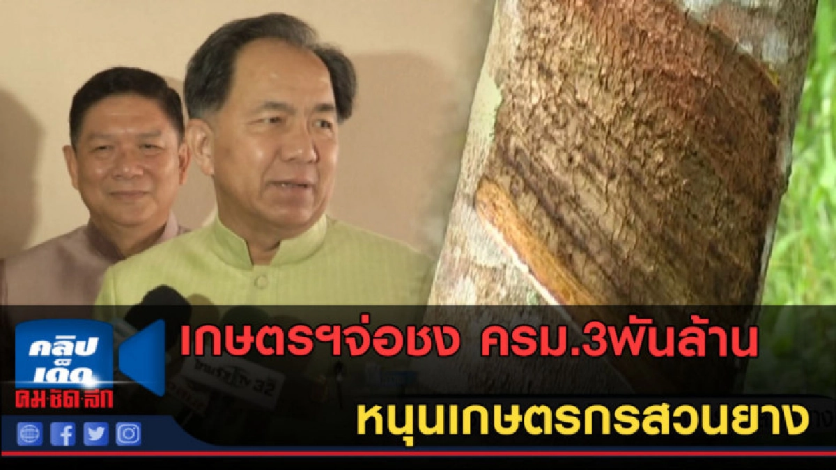 (คลิปข่าว) เกษตรฯจ่อชง ครม.3พันล้านหนุนเกษตรกรสวนยาง (คลิปข่าว) เกษตรฯจ่อชง ครม.3พันล้านหนุนเกษตรกรสวนยาง