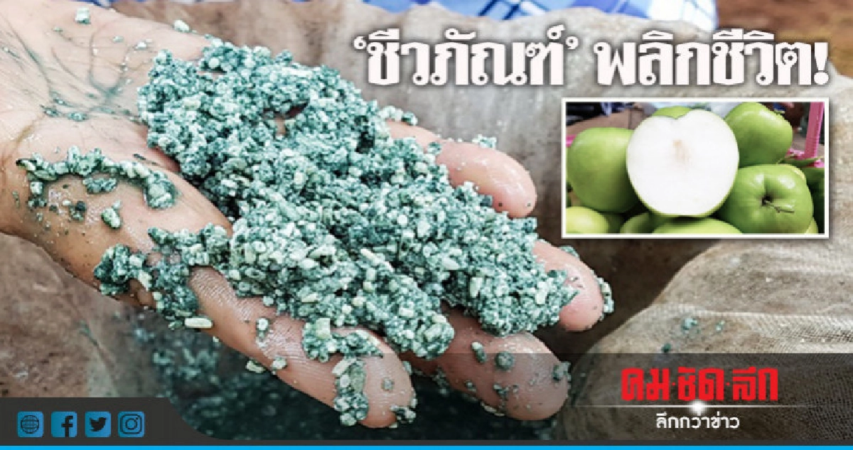 "ชีวภัณฑ์"......พลิกชีวิต ! "ชีวภัณฑ์"......พลิกชีวิต !