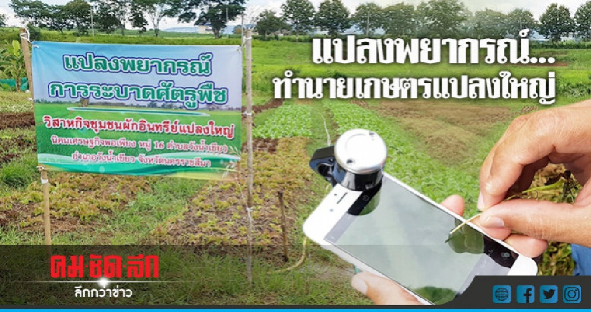 แปลงพยากรณ์.....ทำนายเกษตรแปลงใหญ่ แปลงพยากรณ์.....ทำนายเกษตรแปลงใหญ่