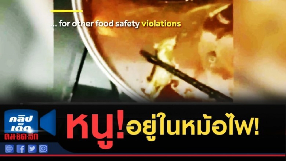 (คลิปข่าว) ทั้งอึ้ง ทั้งแหวะ... ซากหนูในร้านหม้อไฟ (คลิปข่าว) ทั้งอึ้ง ทั้งแหวะ... ซากหนูในร้านหม้อไฟ