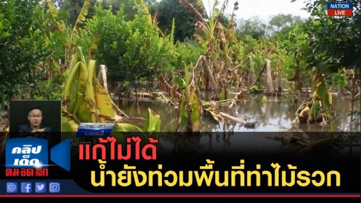 (คลิปข่าว) แก้ไม่ได้น้ำยังท่วมพื้นที่ท่าไม้รวก