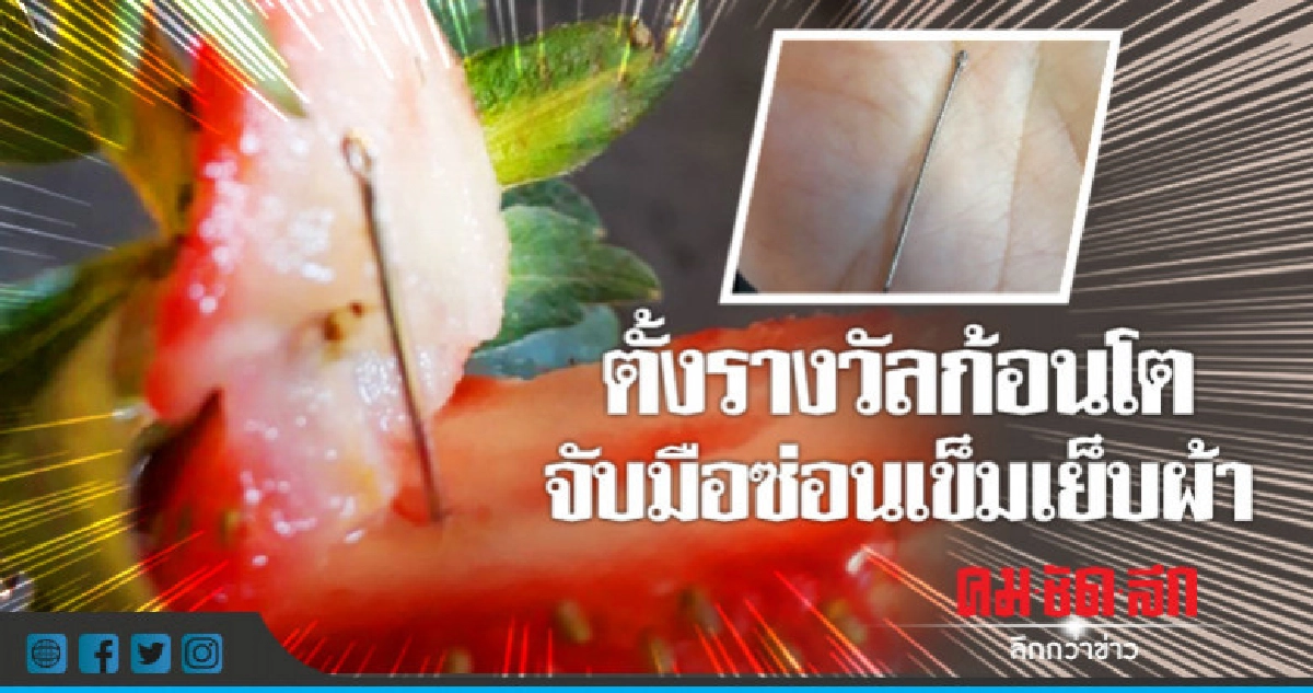 ให้ 2.3 ล้านไขปริศนาเข็มในสตรอว์เบอร์รี 