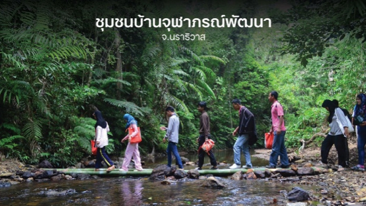 เปิดตัว 54 ชุมชนท่องเที่ยวเมืองรอง เปิดตัว 54 ชุมชนท่องเที่ยวเมืองรอง