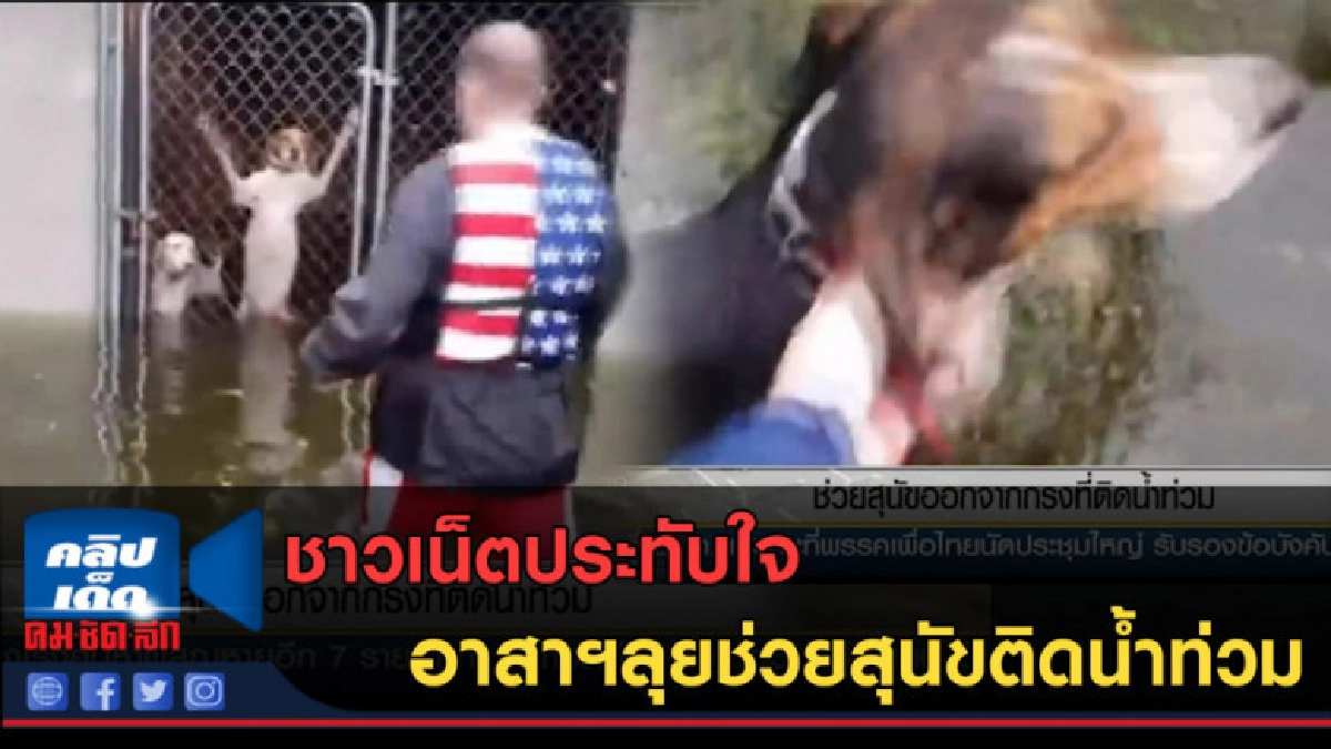 (คลิปข่าว) ชาวเน็ตประทับใจ อาสาฯลุยช่วยสุนัขติดน้ำท่วม