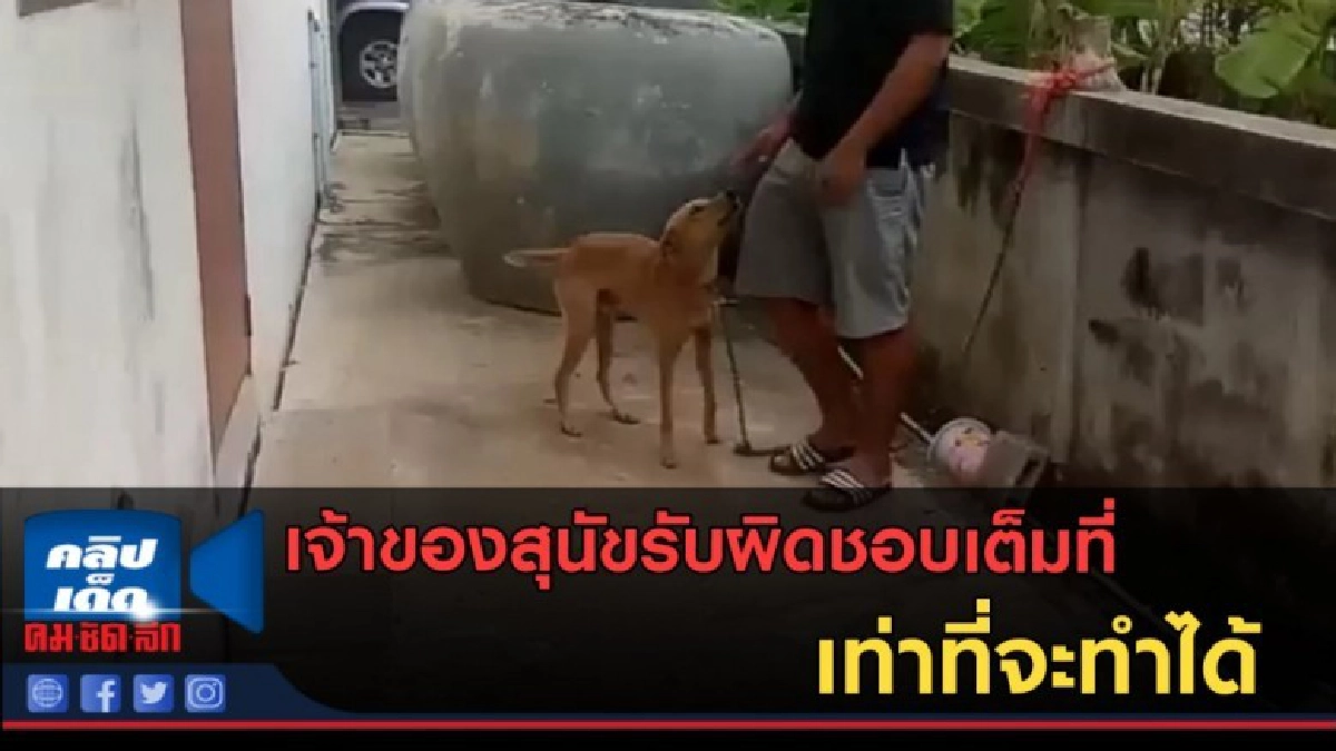 (คลิปข่าว) เจ้าของสุนัขรับผิดชอบเต็มที่ เท่าที่จะทำได้ (คลิปข่าว) เจ้าของสุนัขรับผิดชอบเต็มที่ เท่าที่จะทำได้