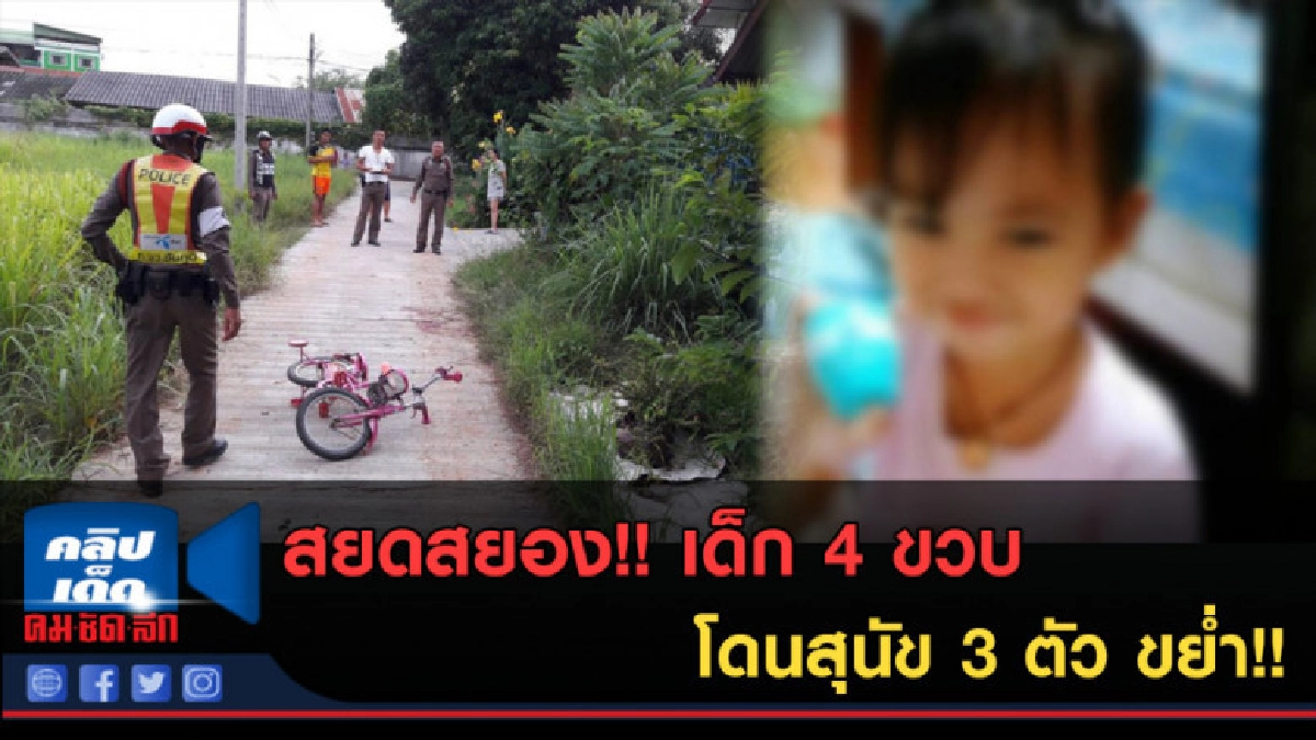 (คลิปข่าว) สยดสยอง!! เด็ก 4 ขวบ โดนสุนัข 3 ตัว ขย่ำ!! (คลิปข่าว) สยดสยอง!! เด็ก 4 ขวบ โดนสุนัข 3 ตัว ขย่ำ!!