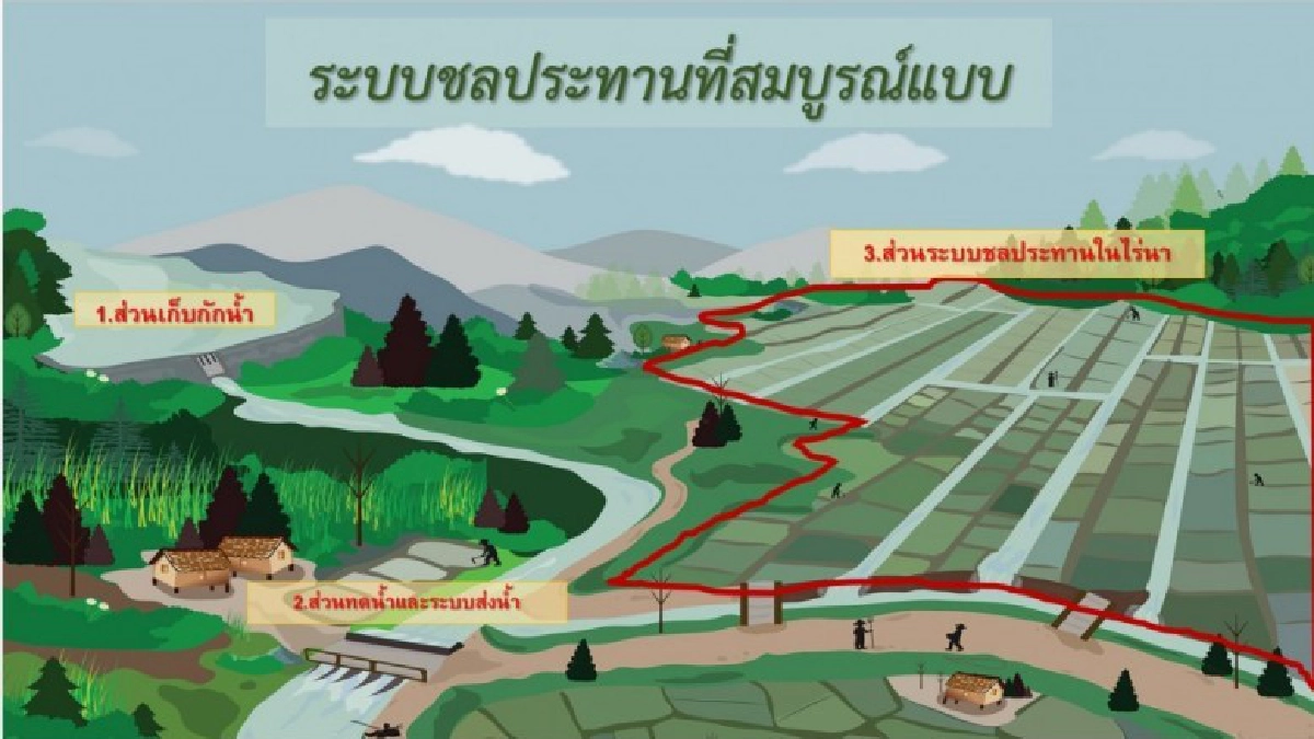 ปรับโครงสร้างสำนักงานจัดรูปที่ดินกลาง ปรับโครงสร้างสำนักงานจัดรูปที่ดินกลาง