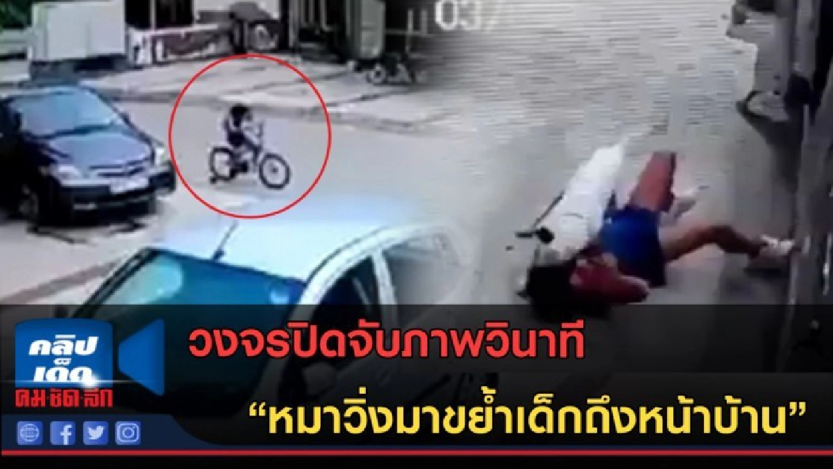 (คลิปข่าว) เปิดวินาทีที่ "หมาวิ่งมาขย้ำเด็กถึงหน้าบ้าน" (คลิปข่าว) เปิดวินาทีที่ "หมาวิ่งมาขย้ำเด็กถึงหน้าบ้าน"