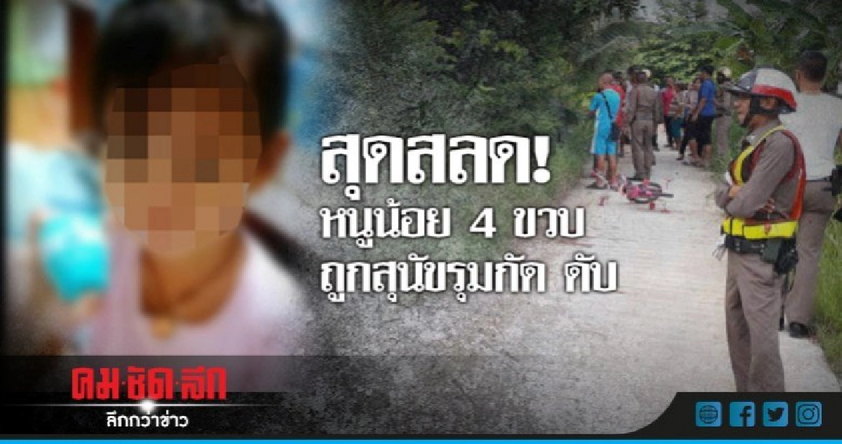 หนูน้อยวัย 4 ขวบถูกสุนัข3ตัวรุมกัด ดับ !