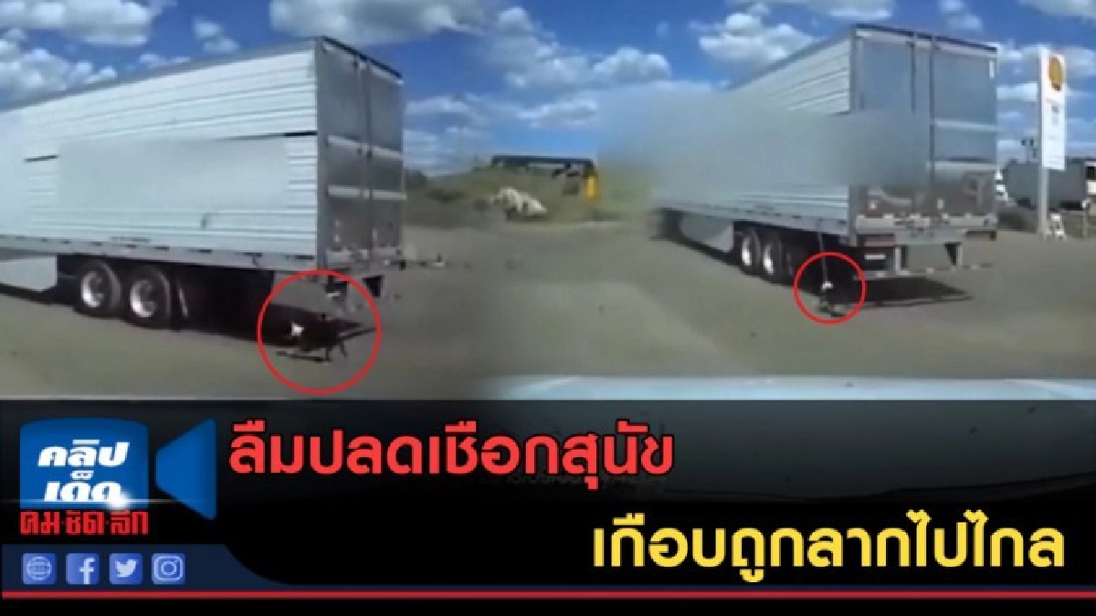 (คลิปข่าว) คนขับรถพ่วง ลืมปลดเชือกสุนัข เกือบถูกลากไปไกล (คลิปข่าว) คนขับรถพ่วง ลืมปลดเชือกสุนัข เกือบถูกลากไปไกล