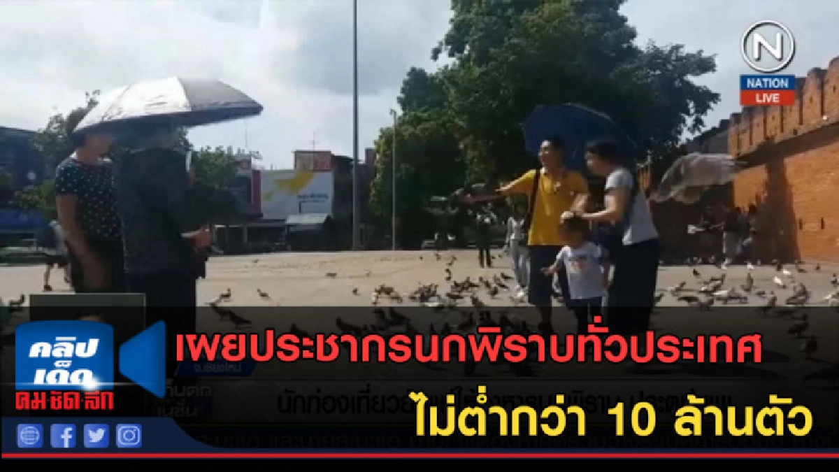 (คลิปข่าว) เผยประชากรนกพิราบทั่วประเทศ ไม่ต่ำกว่า 10 ล้านตัว (คลิปข่าว) เผยประชากรนกพิราบทั่วประเทศ ไม่ต่ำกว่า 10 ล้านตัว