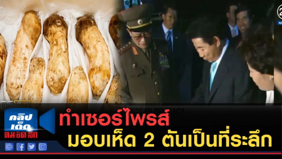 (คลิปข่าว) คิม จอง-อึน ทำเซอร์ไพรส์ มอบเห็ด 2 ตัน (คลิปข่าว) คิม จอง-อึน ทำเซอร์ไพรส์ มอบเห็ด 2 ตัน