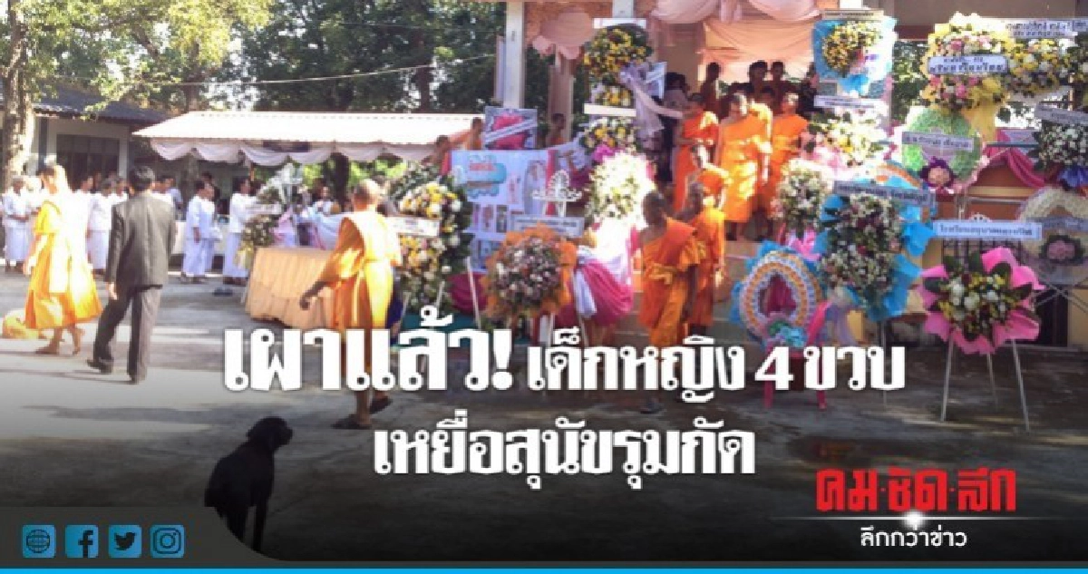 เผาแล้ว!! 'น้องตวงข้าว' เหยื่อสุนัขเขี้ยวโหด เผาแล้ว!! 'น้องตวงข้าว' เหยื่อสุนัขเขี้ยวโหด