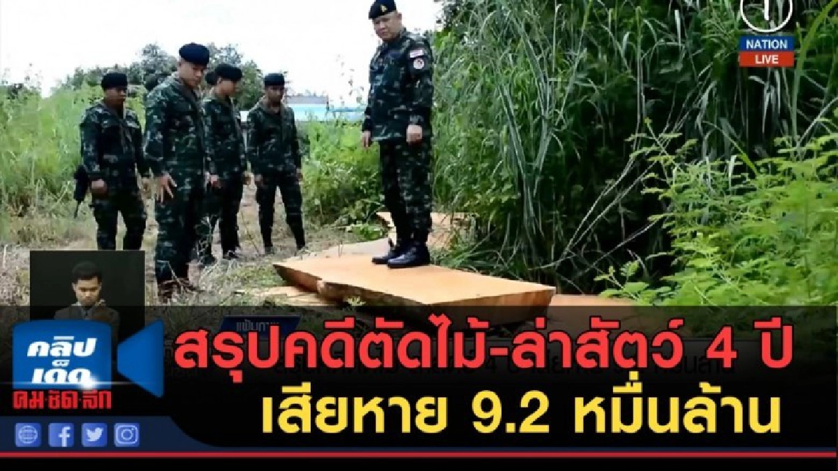 (คลิปข่าว) สรุปคดีตัดไม้-ล่าสัตว์ 4 ปีเสียหาย 9.2 หมื่นล้าน (คลิปข่าว) สรุปคดีตัดไม้-ล่าสัตว์ 4 ปีเสียหาย 9.2 หมื่นล้าน