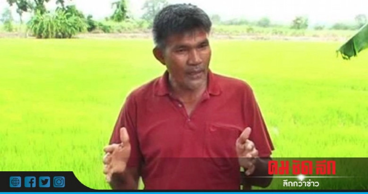 สมาพันธ์เกษตรฯ ชี้ยกเลิกพาราควอต เงื่อนงำทางธุรกิจ สมาพันธ์เกษตรฯ ชี้ยกเลิกพาราควอต เงื่อนงำทางธุรกิจ