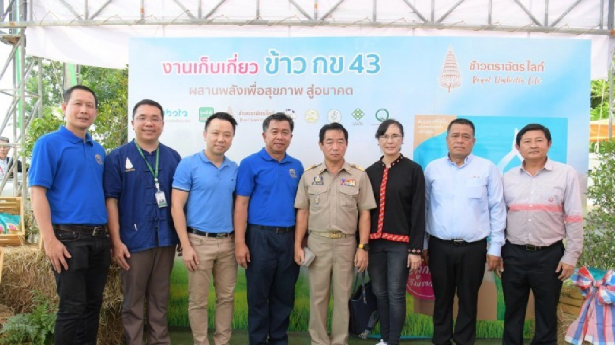 เปิดตัวข้าวเพื่อสุขภาพ"ข้าวตราฉัตรไลท์" สำหรับสายเฮลตี้ 