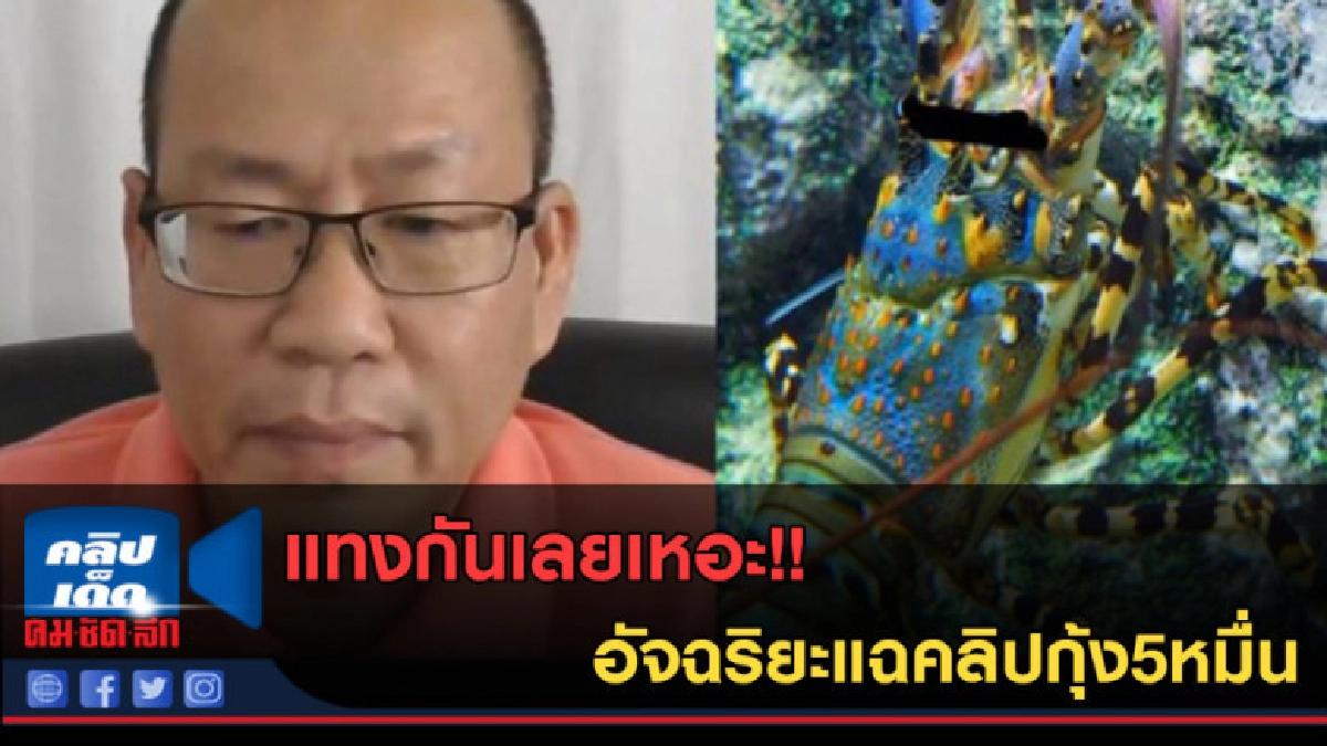 (คลิปข่าว) แทงกันเลยเหอะ!! อัจฉริยะแฉคลิปกุ้ง5หมื่น (คลิปข่าว) แทงกันเลยเหอะ!! อัจฉริยะแฉคลิปกุ้ง5หมื่น
