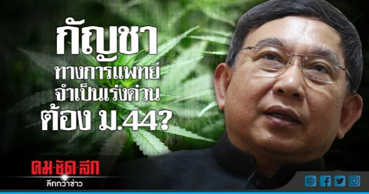 กัญชาทางการแพทย์จำเป็นเร่งด่วนต้องม.44? กัญชาทางการแพทย์จำเป็นเร่งด่วนต้องม.44?