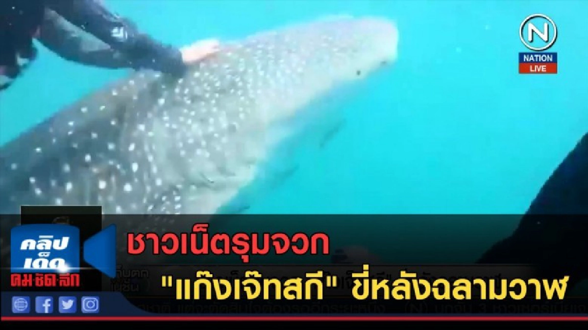 (คลิปข่าว) ชาวเน็ตรุมจวก "แก๊งเจ๊ทสกี" ขี่หลังฉลามวาฬ (คลิปข่าว) ชาวเน็ตรุมจวก "แก๊งเจ๊ทสกี" ขี่หลังฉลามวาฬ