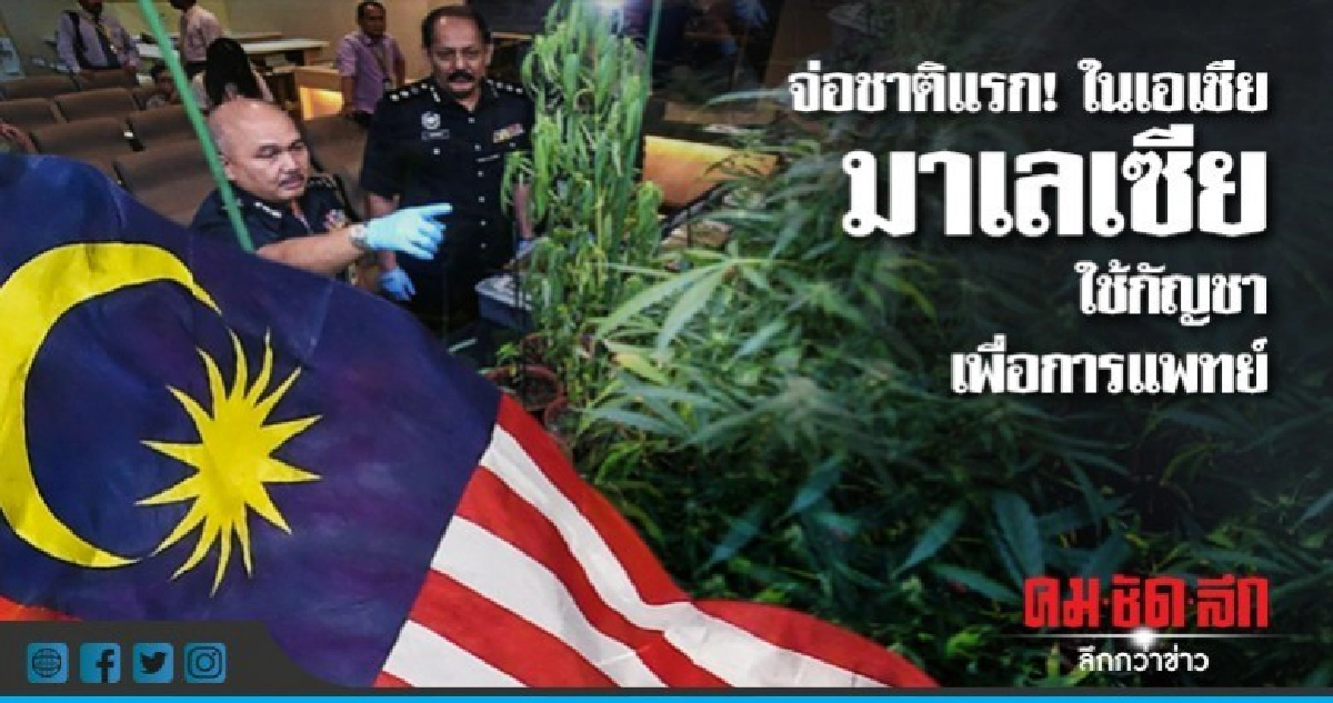 มาเลฯ แซงไทยจ่อเป็นชาติแรกเอเชียใช้กัญชาเพื่อทางการแพทย์ มาเลฯ แซงไทยจ่อเป็นชาติแรกเอเชียใช้กัญชาเพื่อทางการแพทย์