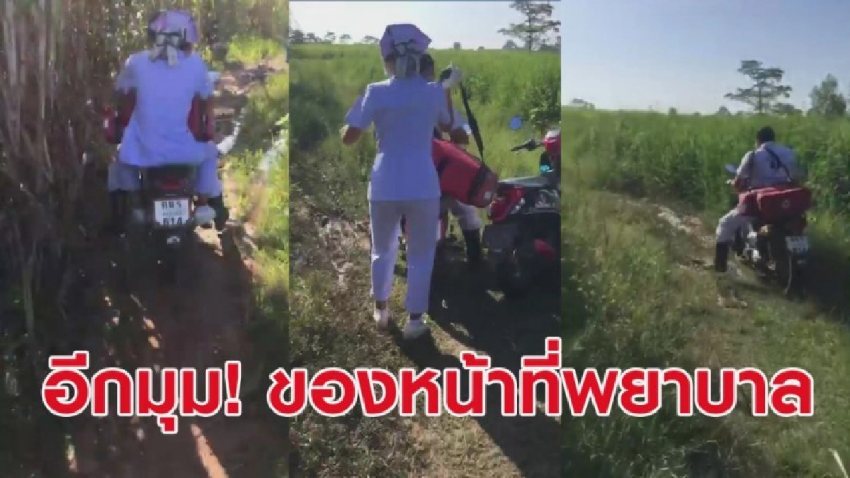 เปิดคลิปพยาบาลยอมเสี่ยง บุกป่าฝ่าดงช่วยคนไข้อย่างทุลักทุเล เปิดคลิปพยาบาลยอมเสี่ยง บุกป่าฝ่าดงช่วยคนไข้อย่างทุลักทุเล
