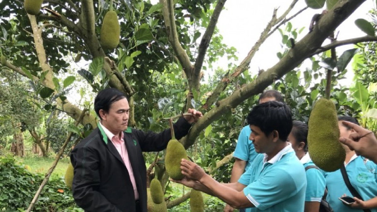 สสก.3 พาดูความสำเร็จโครงการ "ไทยนิยม ยั่งยืน" สสก.3 พาดูความสำเร็จโครงการ "ไทยนิยม ยั่งยืน"