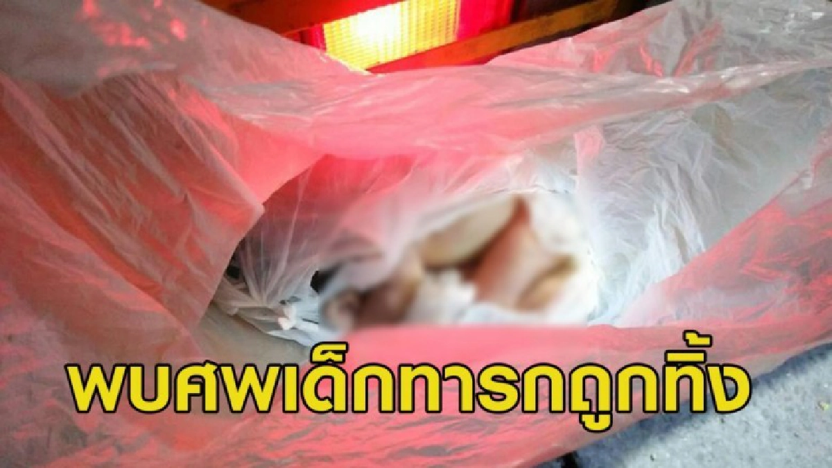 สลด! พบศพเด็กทารกห่อถุงพลาสติกก่อนนำมาทิ้งถังขยะ สลด! พบศพเด็กทารกห่อถุงพลาสติกก่อนนำมาทิ้งถังขยะ