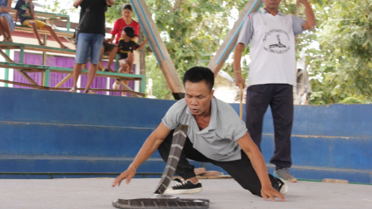 ฟื้นลีลารำเซิ้งจงอางปลุกท่องเที่ยวหมู่บ้านงูจงอาง