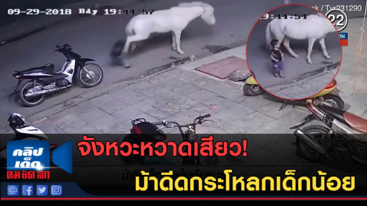 (คลิปข่าว) หวาดเสียว! ม้าดีดกระโหลกเด็กน้อย (คลิปข่าว) หวาดเสียว! ม้าดีดกระโหลกเด็กน้อย