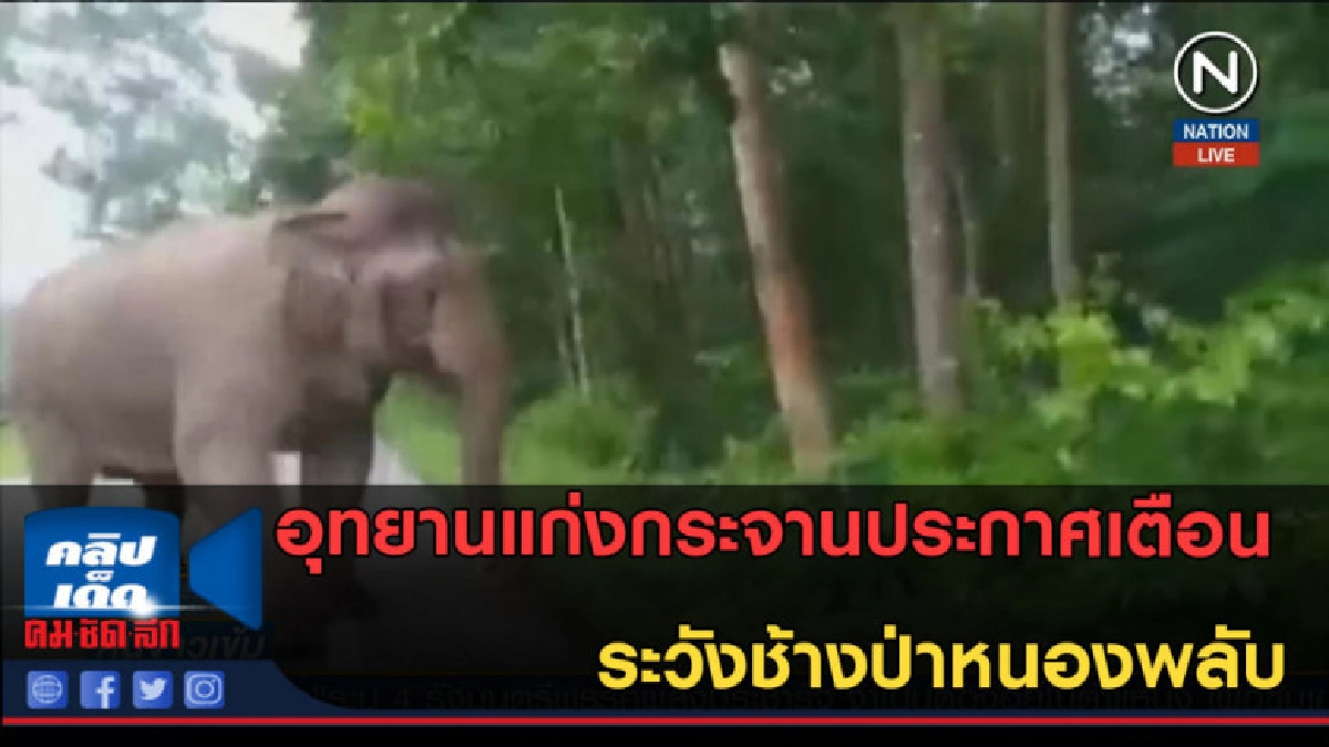 (คลิปข่าว) อุทยานแก่งกระจานประกาศเตือน ระวังช้างป่าหนองพลับ (คลิปข่าว) อุทยานแก่งกระจานประกาศเตือน ระวังช้างป่าหนองพลับ