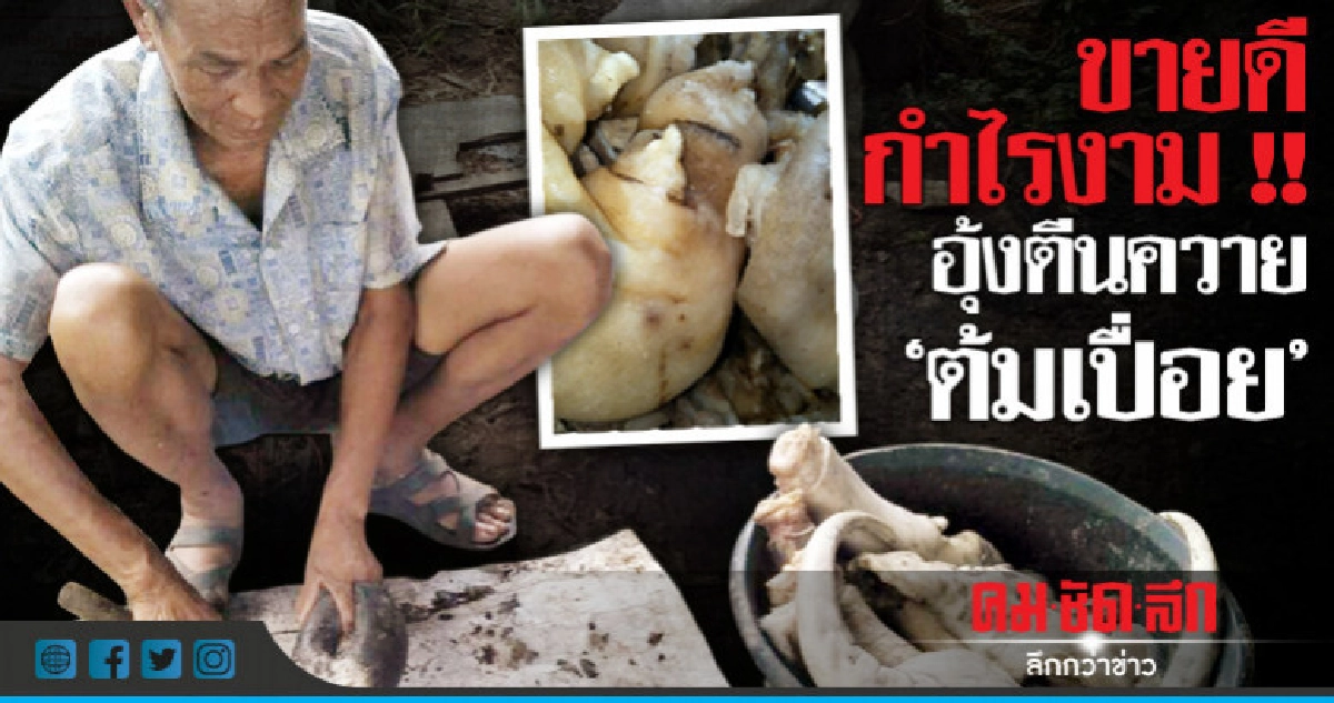 "อุ้งตีนควาย" ต้มเปื่อยขายดี-กำไรงาม !!