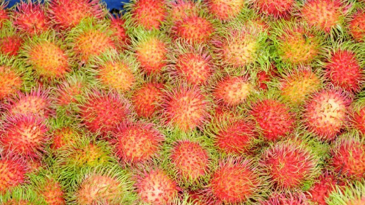 เกษตรฯประกาศผลสำเร็จการบริหารจัดการผลไม้ ปี 61