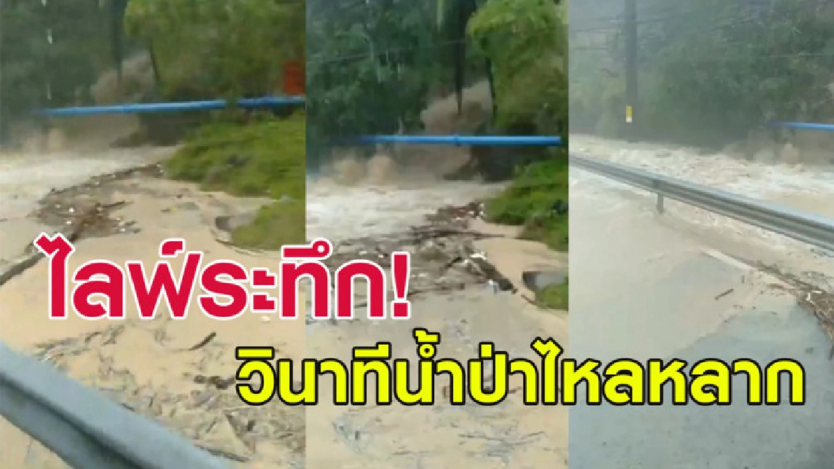 เปิดคลิปไลฟ์ระทึก! วินาทีน้ำป่าไหลหลากที่ภูเก็ต เปิดคลิปไลฟ์ระทึก! วินาทีน้ำป่าไหลหลากที่ภูเก็ต