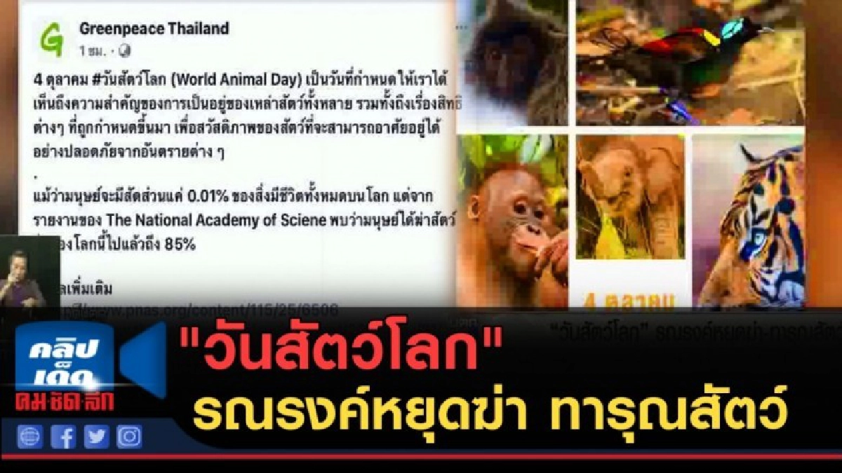 (คลิปข่าว) "วันสัตว์โลก" รณรงค์หยุดฆ่า ทารุณสัตว์ (คลิปข่าว) "วันสัตว์โลก" รณรงค์หยุดฆ่า ทารุณสัตว์