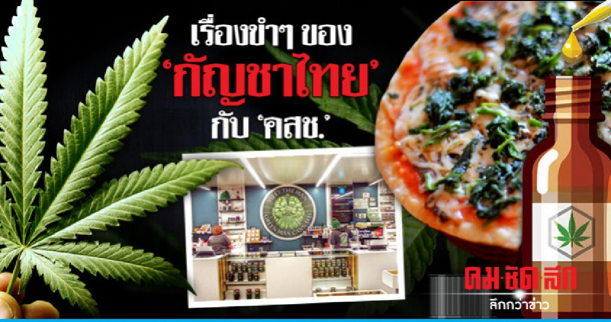 เรื่องขำๆ ของ "กัญชาไทย" กับ "คสช." เรื่องขำๆ ของ "กัญชาไทย" กับ "คสช."