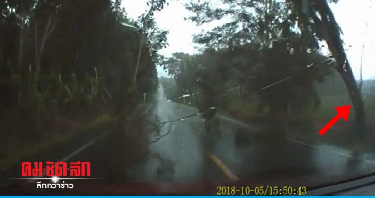 ฝนตกหนักต้นไม้โค่นเกือบทับรถ 2 นักข่าวหนุ่มหวิดดับ ฝนตกหนักต้นไม้โค่นเกือบทับรถ 2 นักข่าวหนุ่มหวิดดับ